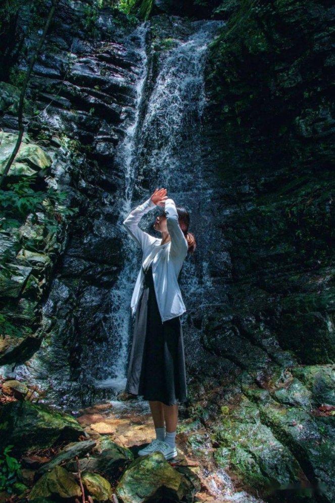 植物大战僵尸8